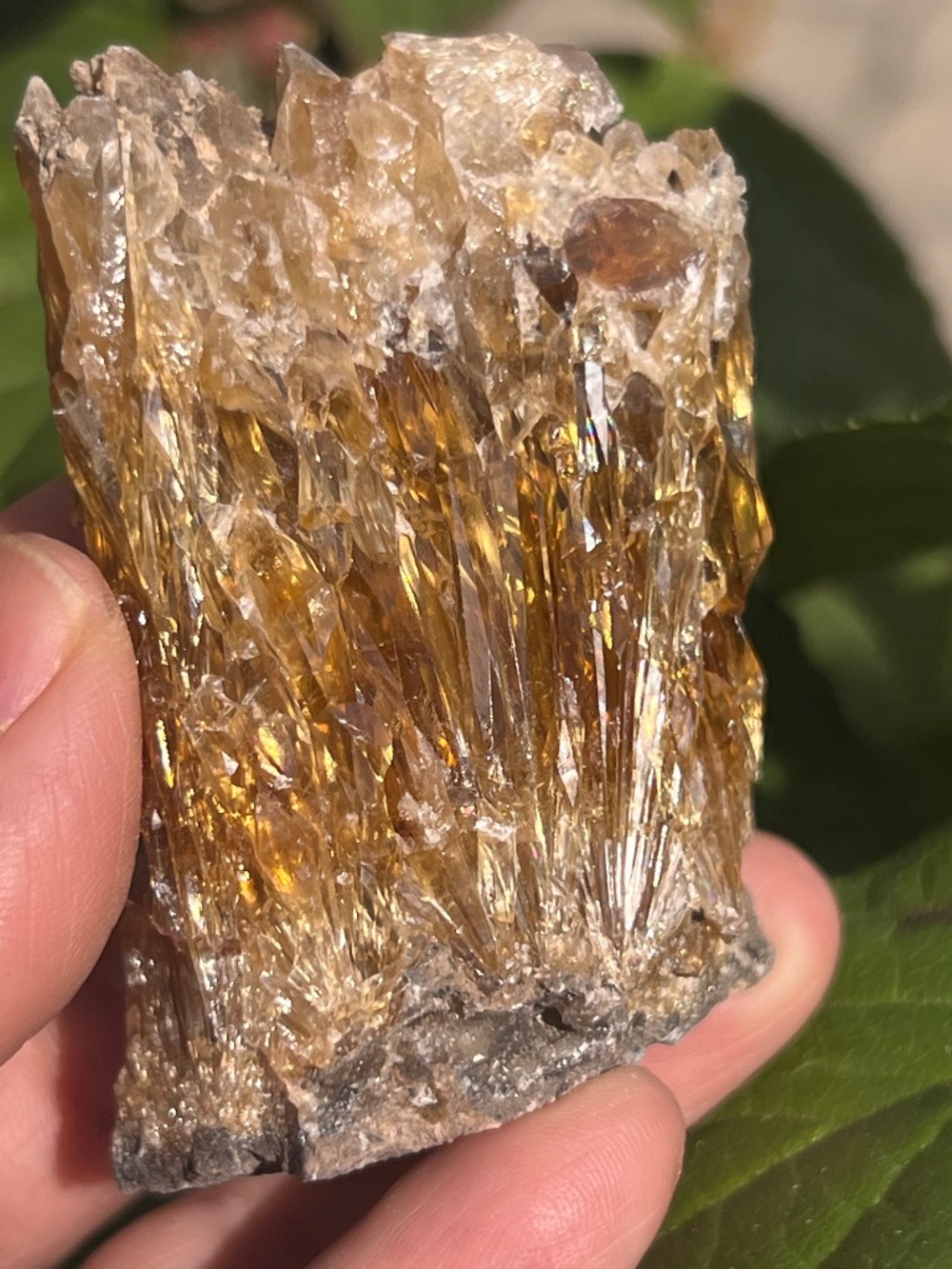 Amber (4) calcite specimen | Crystal